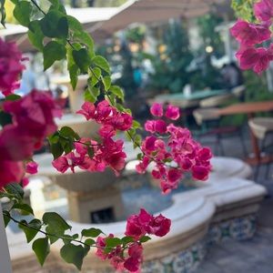 Meet your Posher, Yelitza